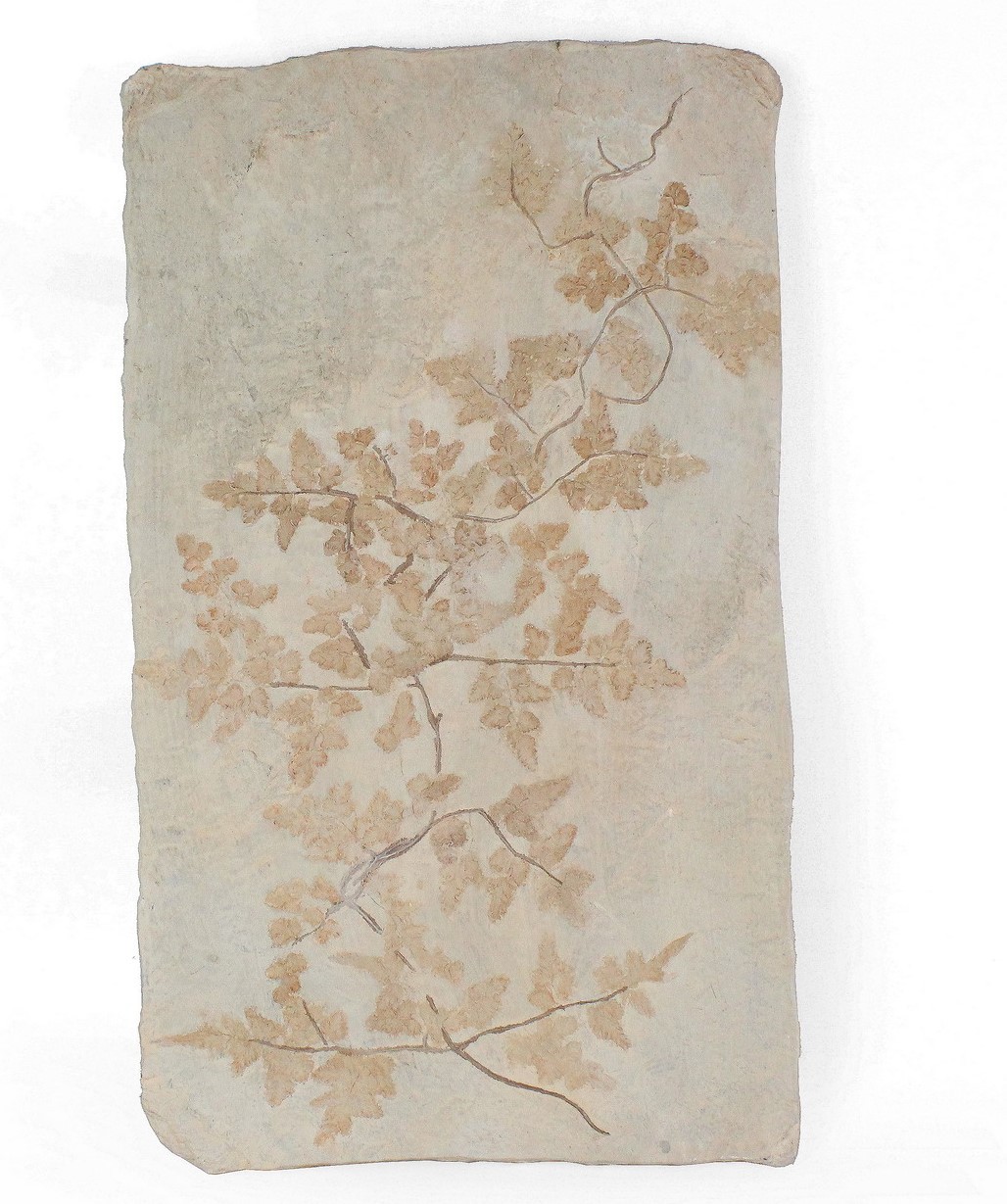 FEUILLE FOSSILE- DECORATION MURALE EN RESINE - 29*2