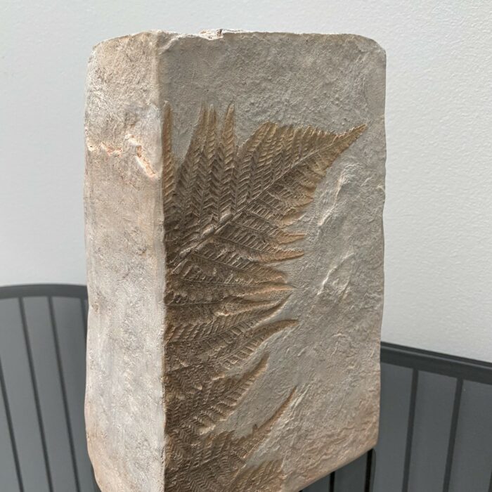 VASE FEUILLE FOSSILE 15